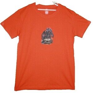 Boys or Girls Orange SS Graphic T-Shirt Dragon & Skull New Atleisure Beach Kids